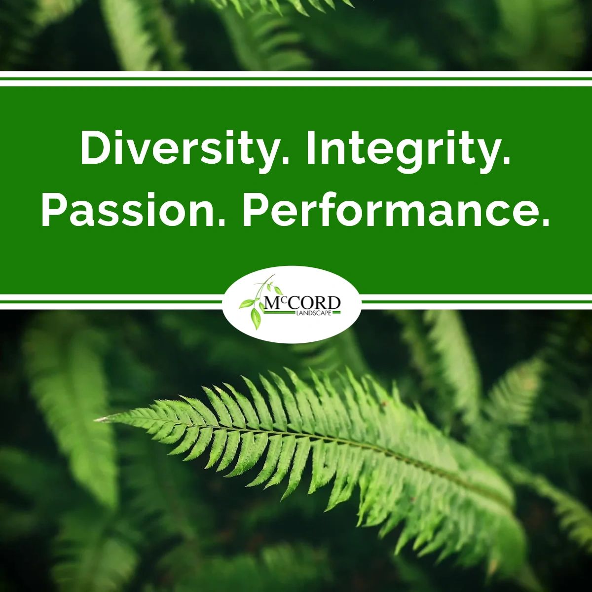 McCord Landscape tweet media