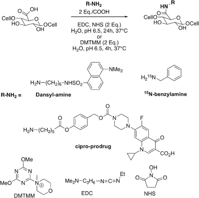 Optimizing chemistry at the surface of prodrug-loaded cellulose nanofibrils with MAS-DNP nature.com/articles/s4200…