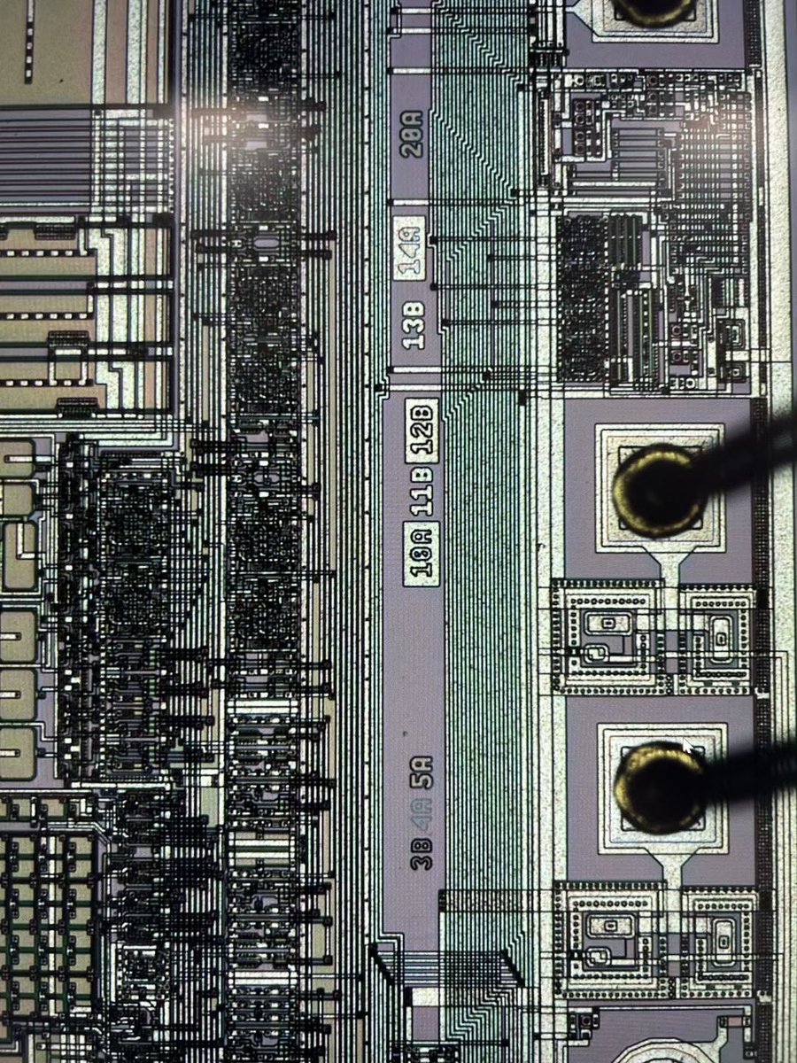 chip wafer
#retrocomputing #nordicsemi #physicalcomputing #Eletronics #opencv #airquality #dfrobot #tecnologia #3dprinter #geartalk #microcontroller #mekatronik #spectrumanalyzer #hackster #artduino #pcb #attiny85 #arduinolove #eurorack #makers #pcb #atgstem #internetofthing #