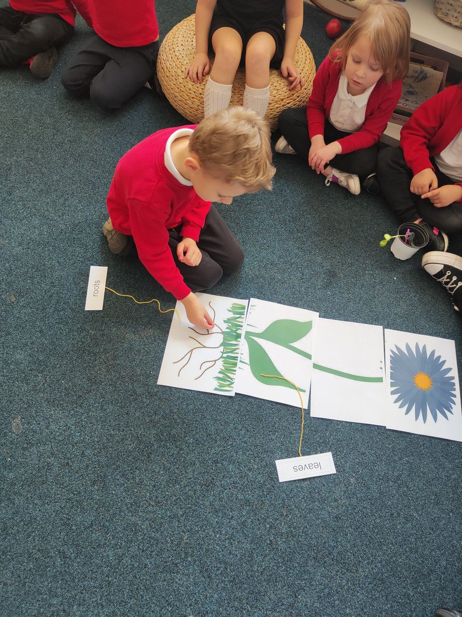Holtonprimary's tweet photo. Following on from our gardening at @StMarysBarry and digging out the weeds, #HPSReception really enjoyed finding out about the different parts of a plant ๐ทWe explored this further in the clay by joining and smoothing the different pieces to create a plant ๐ผ #HPSSci #findingout https://t.co/J9exiDNCJm