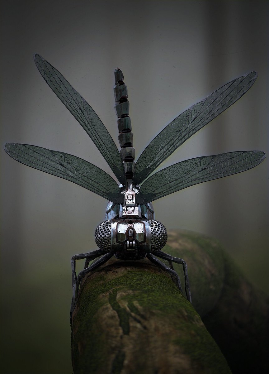 GameTxtures's tweet image. #TextureArtistOfTheWeek is Xavi Anguita 🥳 
Worked on pieces for Valencia and 
just look at the precision of detail that’s portrayed! 
Take some time to look at their ArtStation: artstation.com/xaviac

#3Dartist #3D #gamedeveloper #indiedev