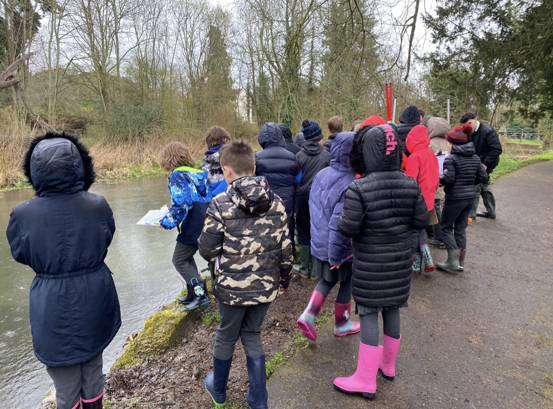 Fir Tree School tweet media