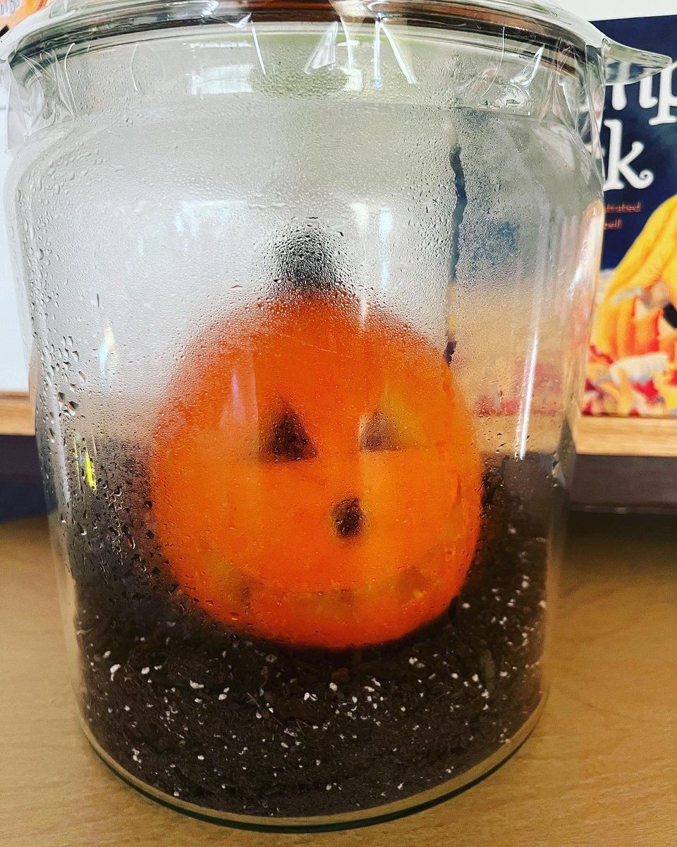 mrsiredalein1st's tweet photo. Jack is a rockstar in our classroom! We just can’t believe his total transformation! #luckytobeinChariho @MrG_HVES @CharihoRegional @gemsnet10 https://t.co/VqQZkKeayn