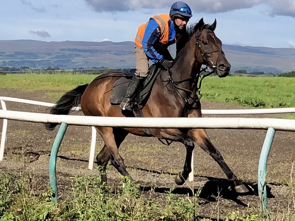 Jim Goldie Racing (@jimgoldieracing) on Twitter photo *PLEASE LIKE & RETWEET*
Here’s Jonathan Curry on Euchen Glen & he’s on course to run in <a href="/MusselburghRace/">Musselburgh Racecourse</a>’s Queen’s Cup next month!
WERE LOOKING FOR AN EXPERIENCED RIDER TO JOIN OUR SUCCESSFUL TEAM!
Please pm me if interested! *PLEASE LIKE & RETWEET*
Here’s Jonathan Curry on Euchen Glen & he’s on course to run in <a href="/MusselburghRace/">Musselburgh Racecourse</a>’s Queen’s Cup next month!
WERE LOOKING FOR AN EXPERIENCED RIDER TO JOIN OUR SUCCESSFUL TEAM!
Please pm me if interested!