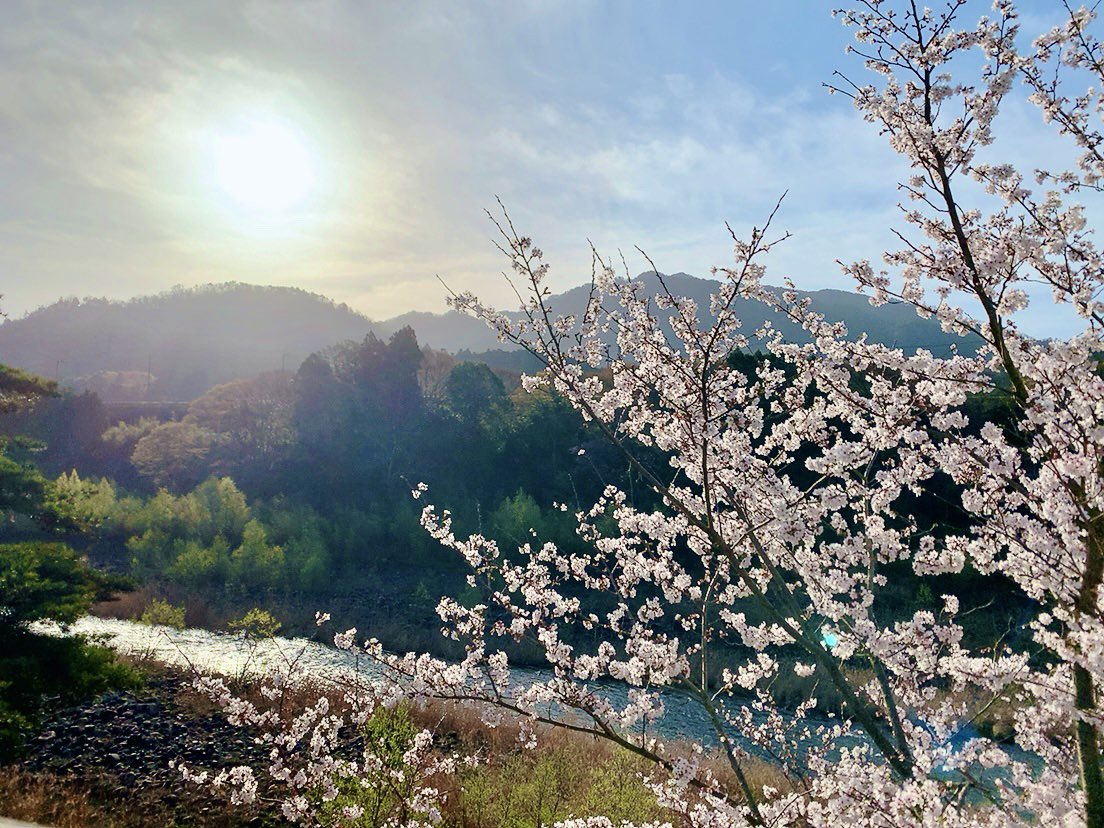 親孝行旅行😊お部屋の窓からの景色がいい感じ！