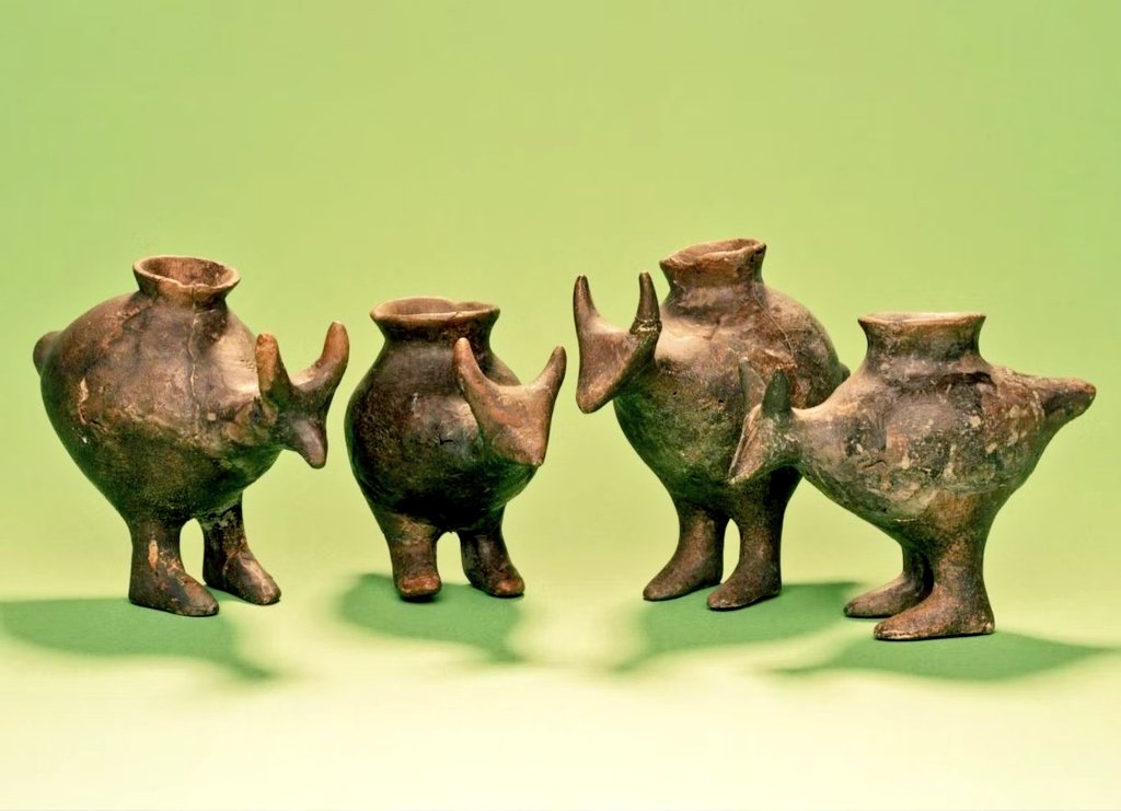 Nina Willburger tweet media