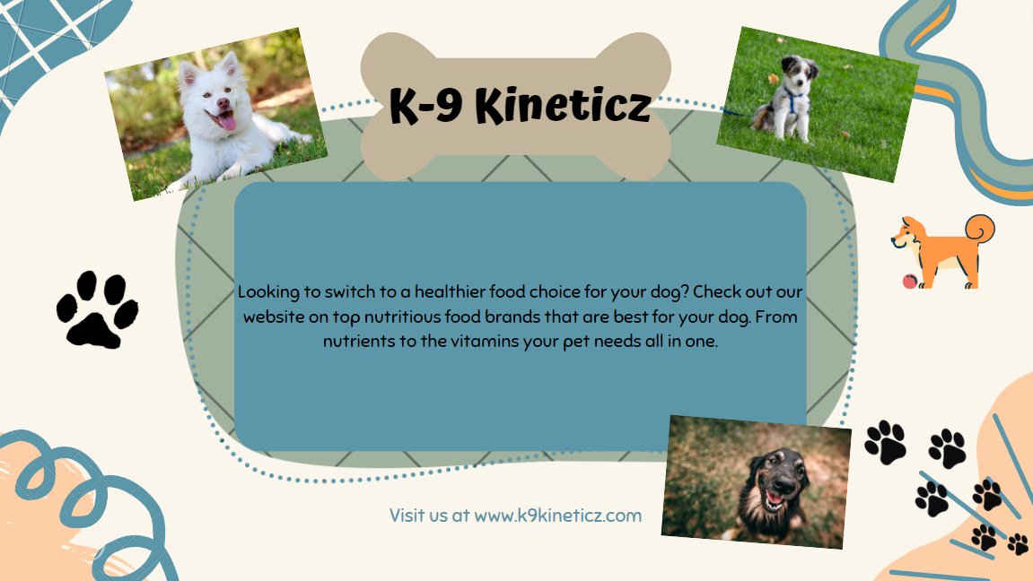 K9Kinetics1's tweet photo. Looking to switch food brands for a healthier food choice for your dog? Visit us at our website for more tips on your next steps to giving your dog the right nutrition they need. #doglovers #dognutrition #dogtraining #doglife https://t.co/pbYoLOlSK6