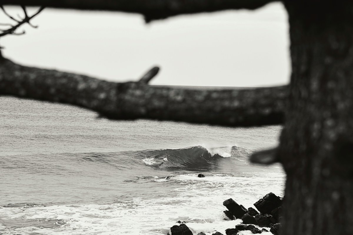 RobertDeFusco's tweet photo. Sachuest Point National Wildlife Refuge 🌊
Middletown,RI
#photo #photography #nature撮影会 #mizuninagasu #naturephotography #monochrome #blackandwhite #blackandwhitephotograpy #seascape #waves #surf #SachuestPoint #Middletown #RhodeIsland https://t.co/jtUnF0e6dA