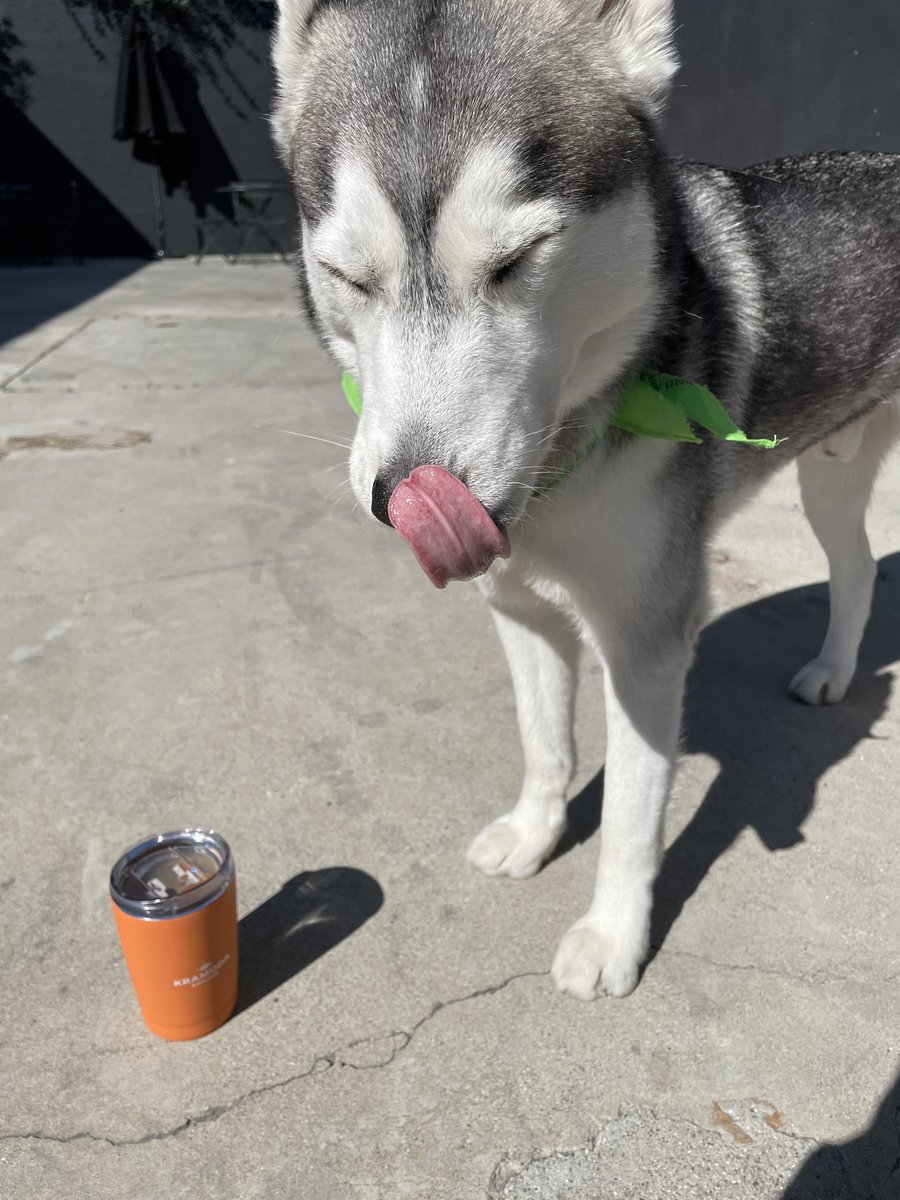 kramoda's tweet photo. Good morning, say it back!! 🧡 https://t.co/FS3YvaP4Tm