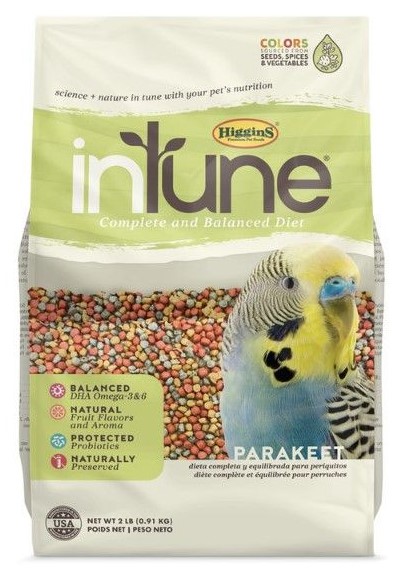 Scarletts Parrot Essentials tweet media