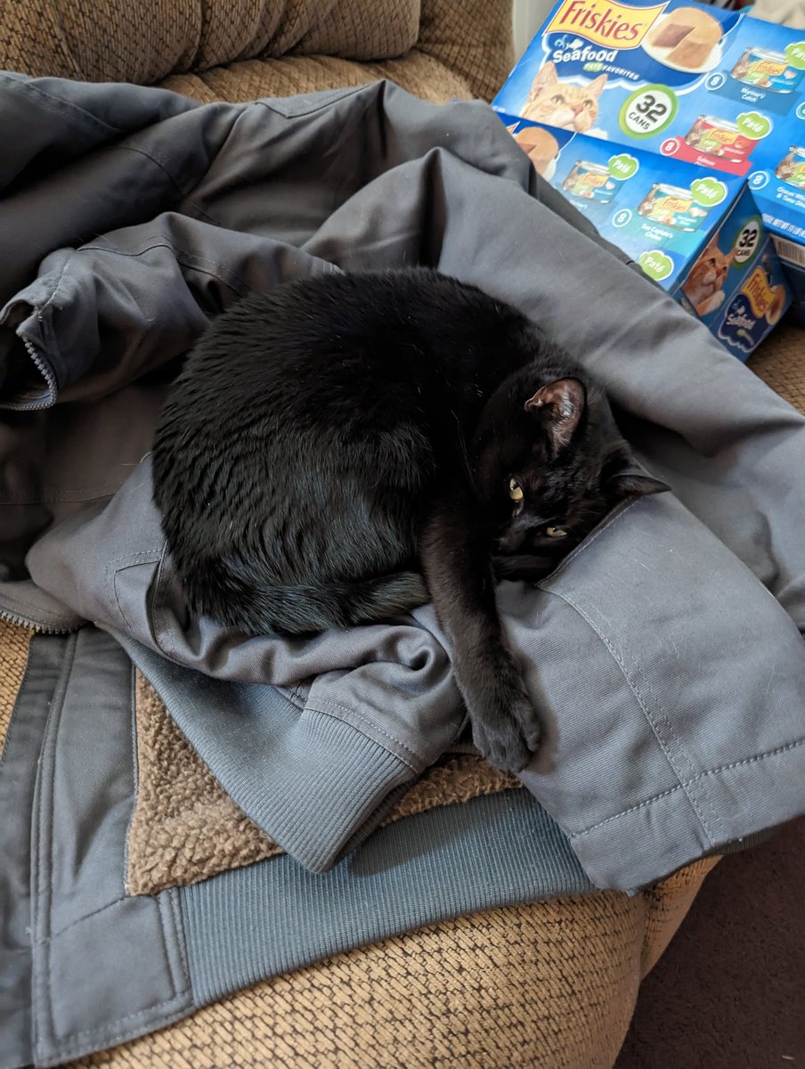 paclanton's tweet photo. @WBTV_News Meet Ally  She is purrfect in every way-often laying next us when we are sick or had a bad day. We understand her vocalizations enough to know if she is hungry, or has spotted an intruding insect. She is a training kitty for my grandchildren. 5Star house panther! #Queenofthehouse https://t.co/zD2gQJmff1