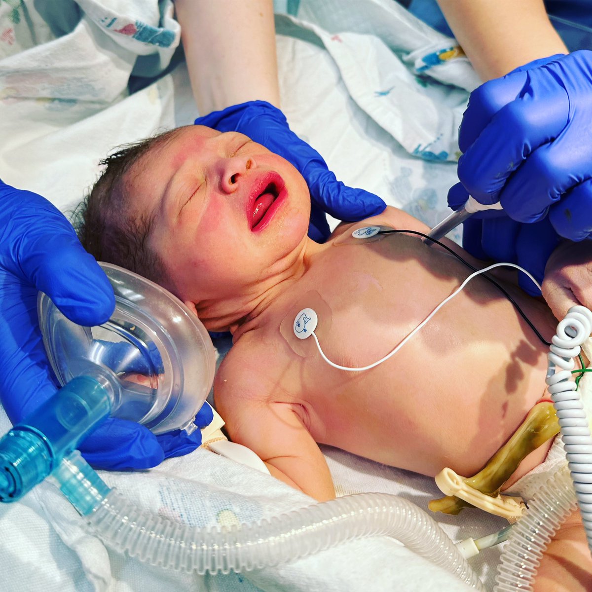 Sara Rouhi on Bsky @RouhiRoo.bsky.social tweet media