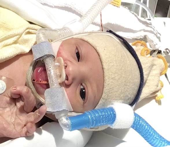 Sara Rouhi on Bsky @RouhiRoo.bsky.social tweet media