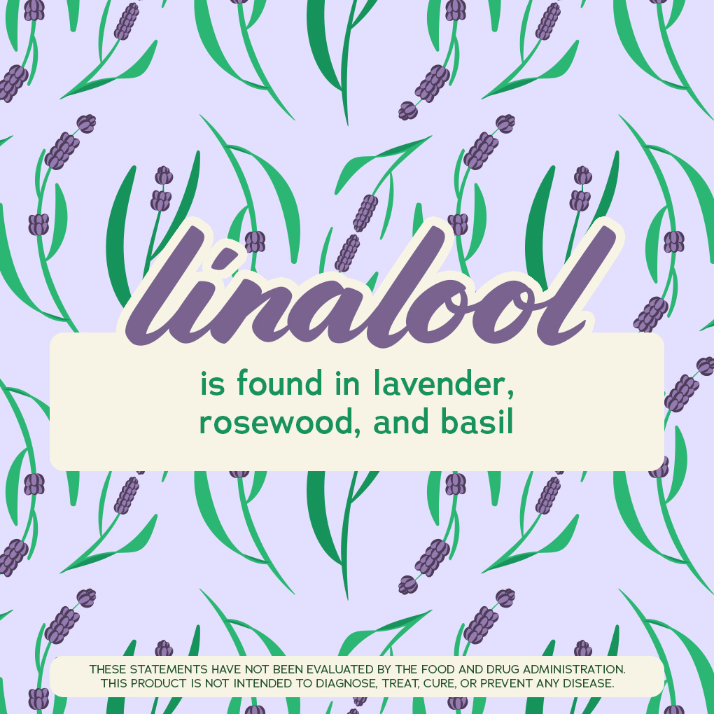 insaforreallife's tweet photo. Happy #TerpeneTuesday! Today, we're shining a spotlight on the sweet and relaxing Linalool.

 Drop a comment below and let us know how you use this terpene in your daily wellness routine. ⬇️🍃

#insaflorida #terpenetuesday #linalool https://t.co/r9etgpe8D7