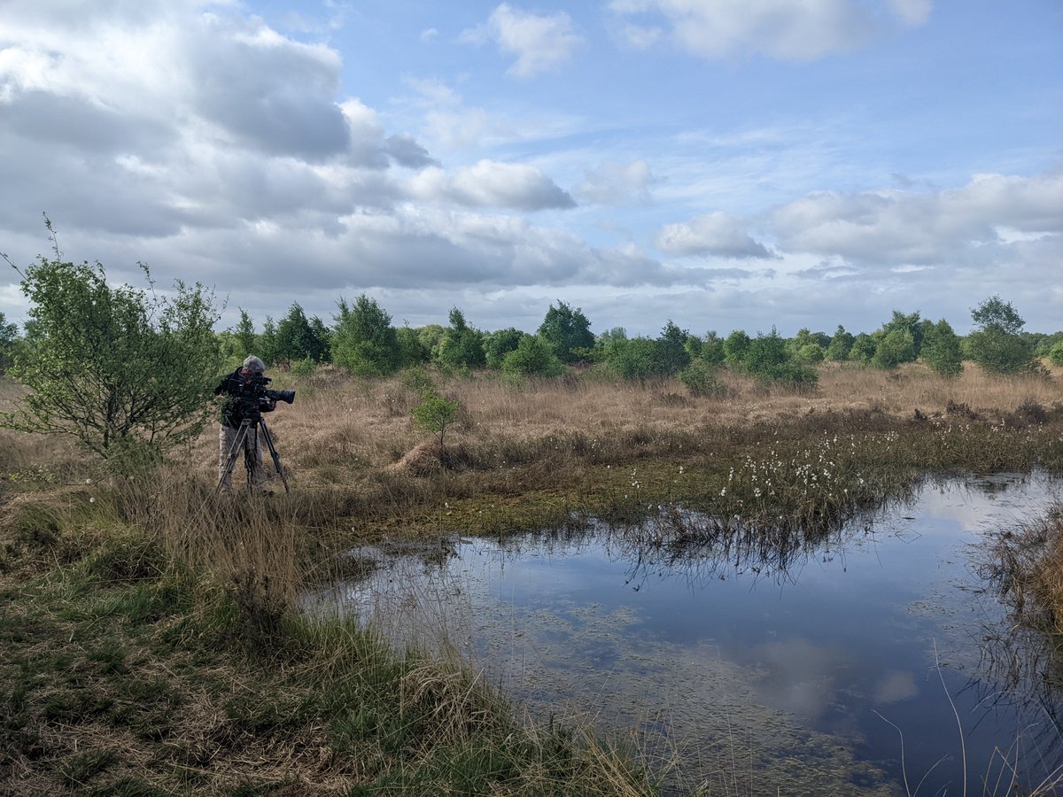 Aden Productions tweet media