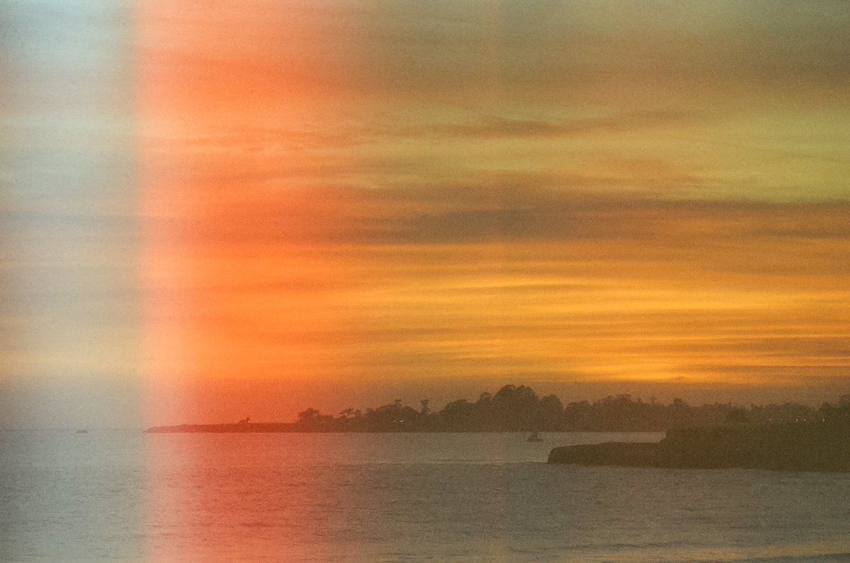 bryangarrison aka Wetfeet Photo tweet media