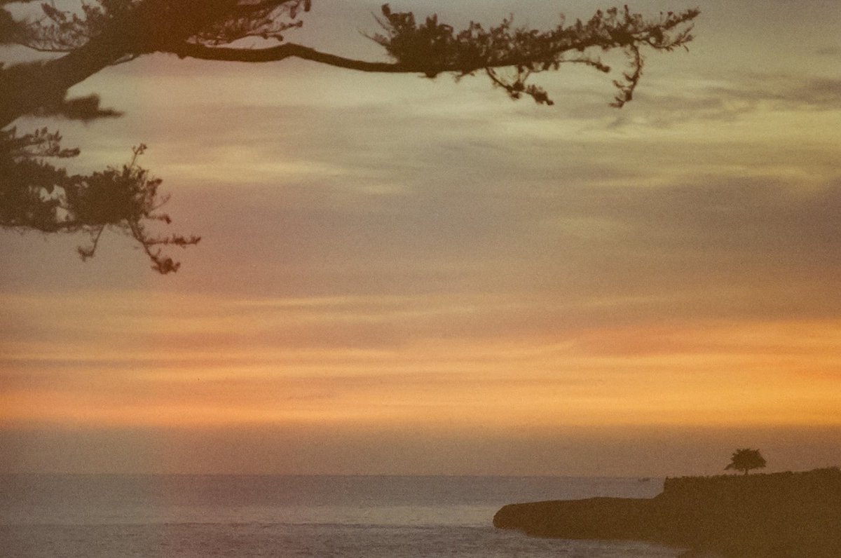 bryangarrison aka Wetfeet Photo tweet media