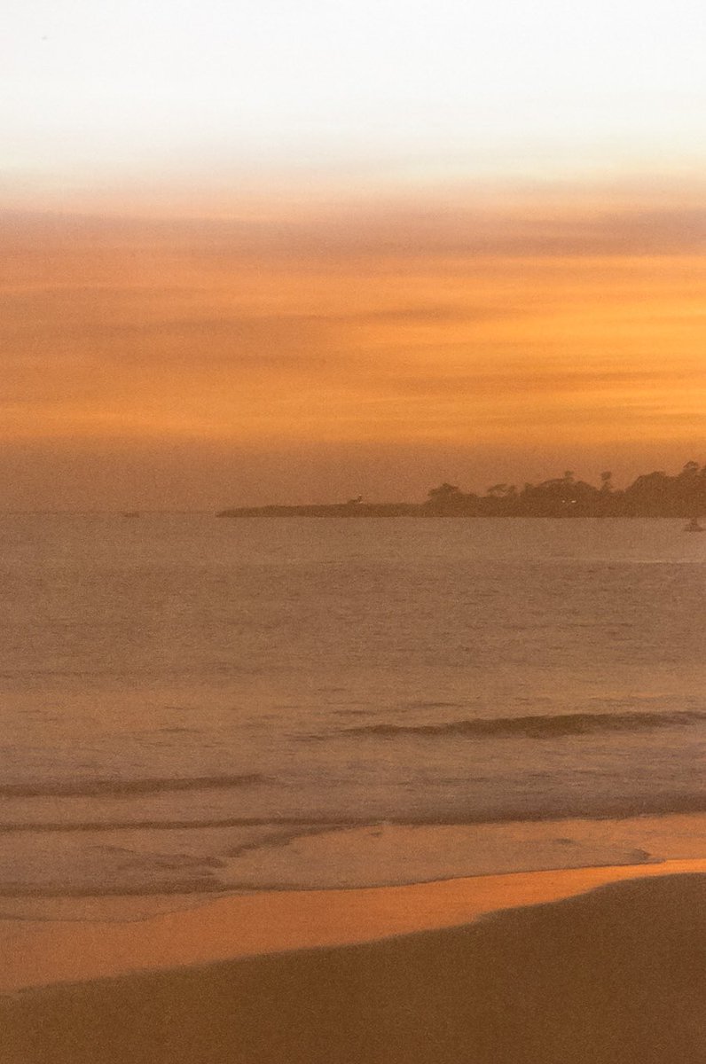 bryangarrison aka Wetfeet Photo tweet media