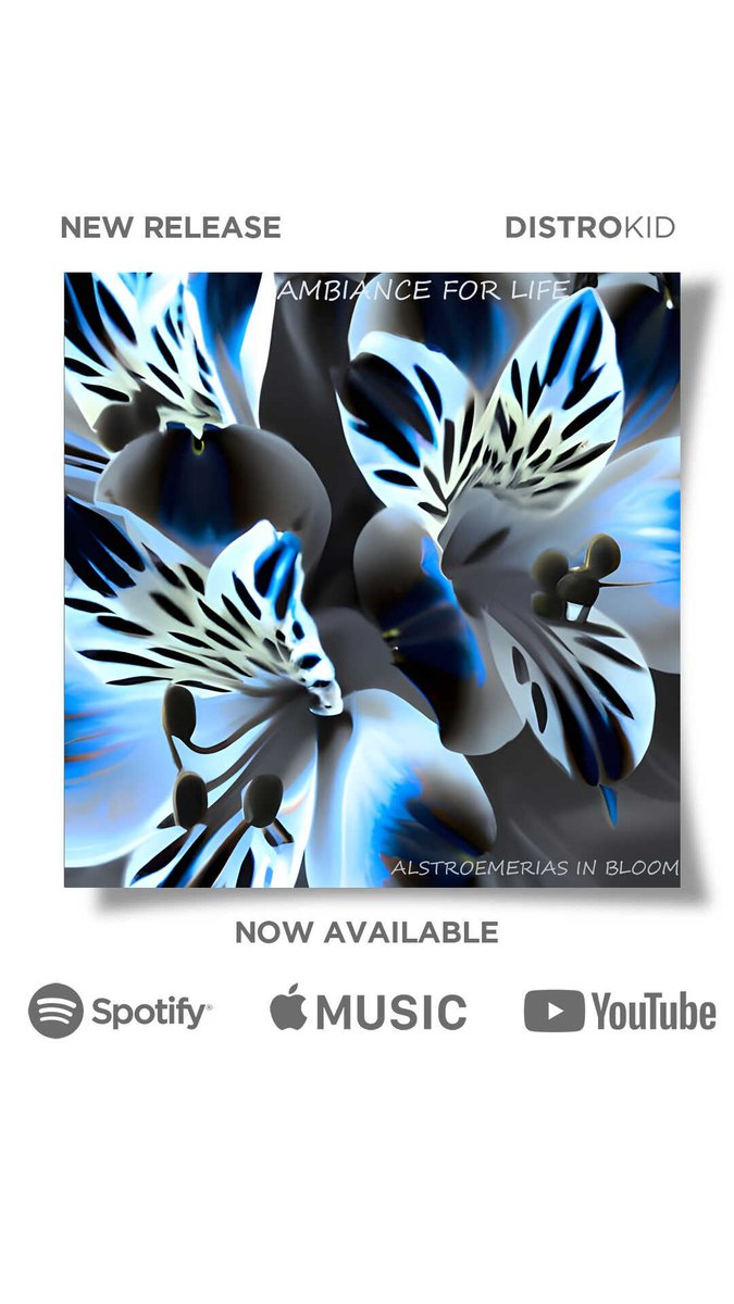 A new Ambiance For Life release called 'Alstroemerias In Bloom' . A six track set of peaceful relaxing tracks with a mixture of ambient chill, jazz, and new age downtempo sonic experiences!
#ambianceforlife #newage #relaxation #chillout #dronemusic  #synth #electronic #newmusic