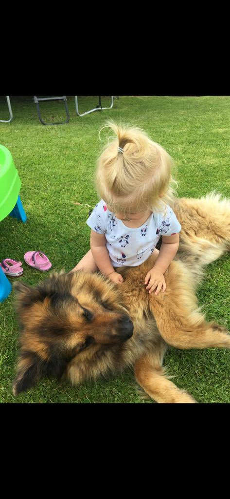 We had to say goodbye to our loyal buddy Lucas today .
Gonna be missed 😘