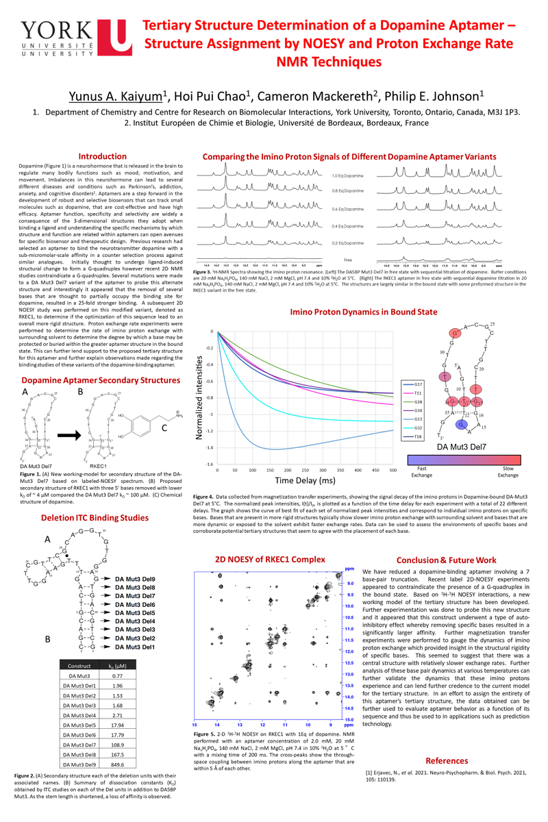 AptamerSociety's tweet photo. Yunus A Kaiyum: Tertiary structure determination of a #dopamine #aptamer – structure assignment by NOESY and proton exchange rate #NMR techniques
#Apt23, #YAKaiyum https://t.co/5rL2Tjf8CQ
