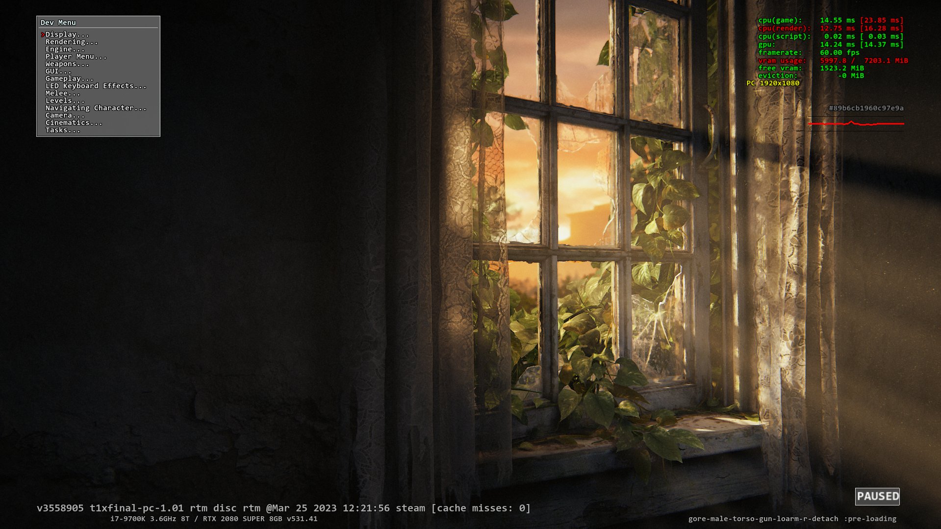 The Last Of Us 2 / Debug Menu / fpkg / CHT File / Address & More