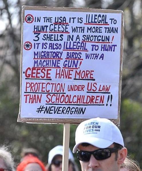 hammer_hawk's tweet image. When the FACTS are so simple that reasonable Americans should shudder in thought about the safety of their kids.  Yes, a GOOSE has more protection than KIDS! 

#BanHighCapacityMagazines 

#NRABloodMoney  #NRAGOPBloodMoney 
#GOPGunsOverPeople  #GOPWarOnWomen