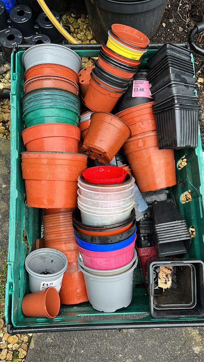 Seeder_Wood's tweet photo. Just a reminder that if you have a pile of plastic pots, we’ll happily take them off your hands so they can be re-used! These will disappear very quickly. Please RT #reduce #reuse #recycle #valeofglamorgan https://t.co/y3MZQpoMmz