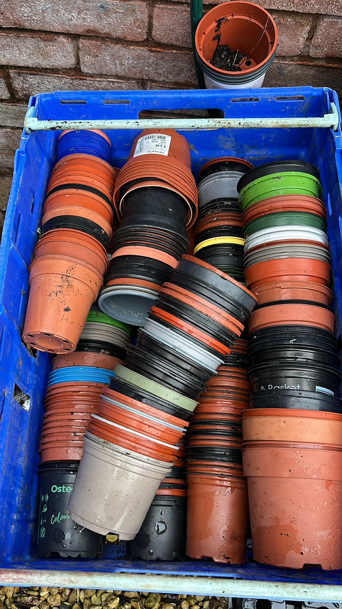 Seeder_Wood's tweet photo. Just a reminder that if you have a pile of plastic pots, we’ll happily take them off your hands so they can be re-used! These will disappear very quickly. Please RT #reduce #reuse #recycle #valeofglamorgan https://t.co/y3MZQpoMmz