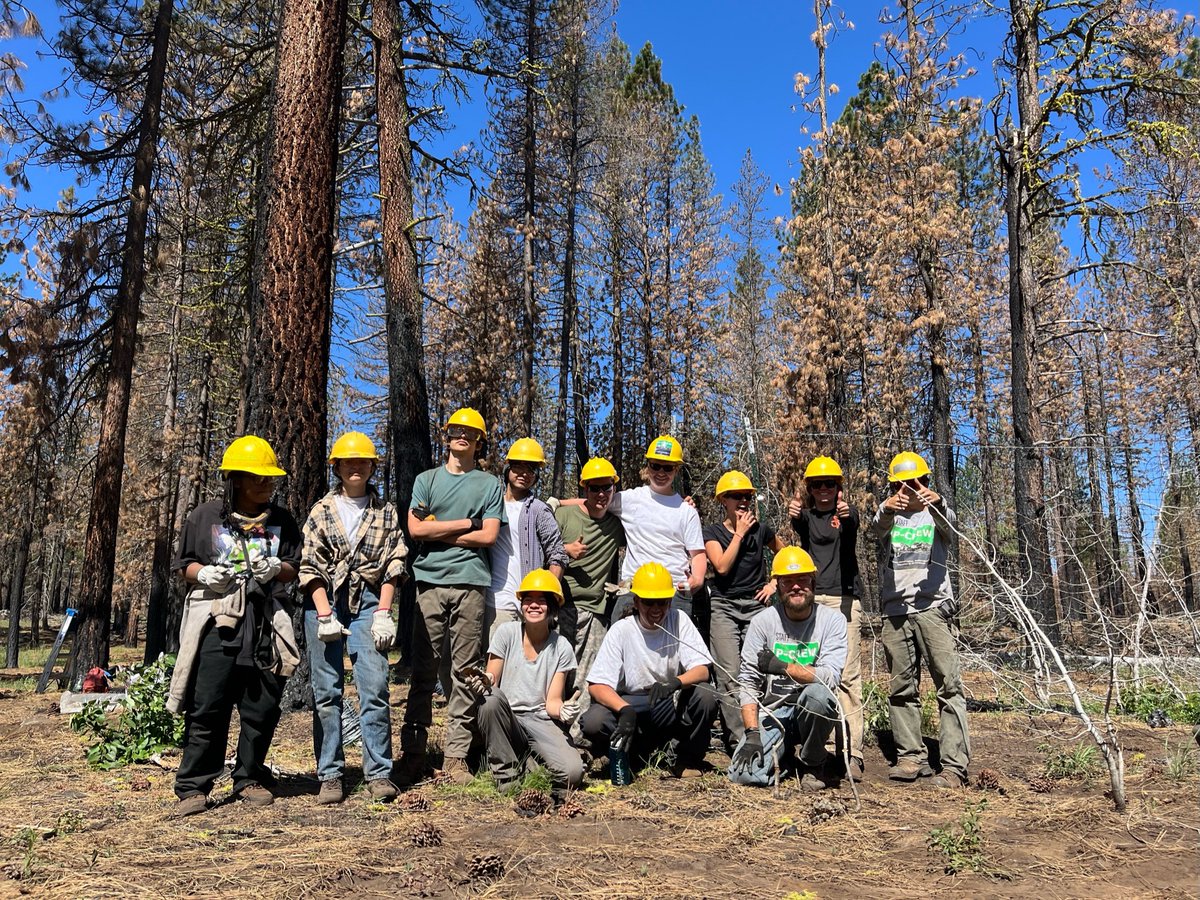 In 2022, @nationalforests supported <a href="/SierraInst/">Sierra Institute for Community and Environment</a>  P-CREW Youth Corps Program in improving health and resilience across the landscape within riparian, aspen, and meadow communities along Robbers Creek in Lassen National Forest <a href="/forestservice/">USDA Forest Service</a>

#NFFGranteesAreGreat #NFFHealthyForests