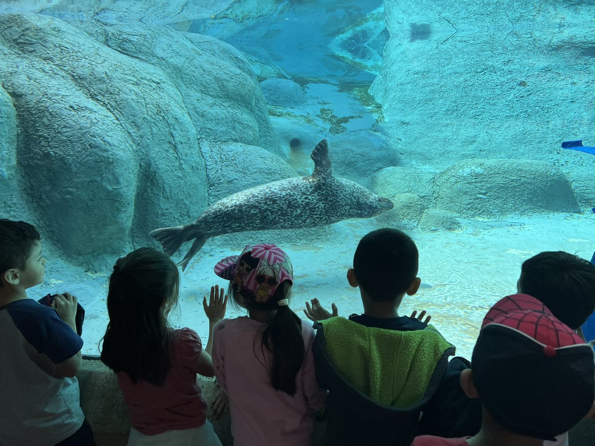 hsgaines's tweet photo. Our first grade zoo field trip was so much fun! Their excitement at each exhibit was something I’ve missed over the last few years with no field trips. Real life experiences are the best! ♥️ @VirginiaCrossEl https://t.co/q504SSP9yl