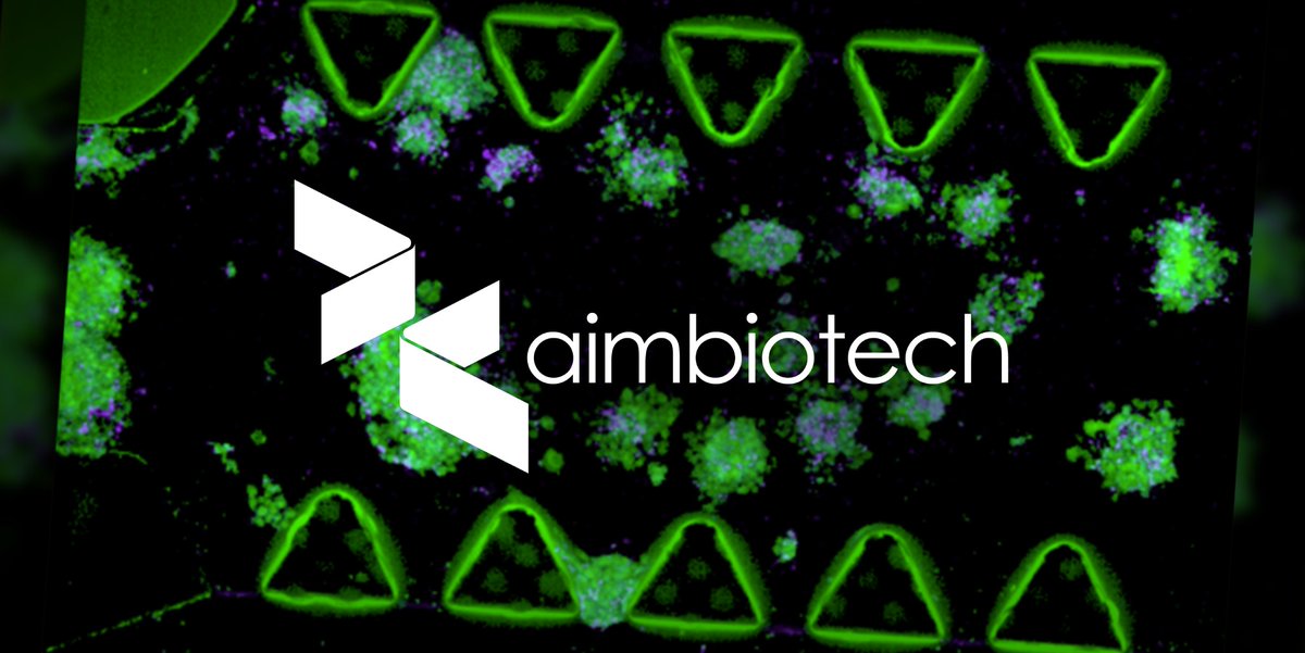 AIM Biotech (@aimbiotech) on Twitter photo We often talk about how the 3D co-culture nature of organ-on-chip assays better mimics the microenvironment of tumors—here, we have a study highlighting that power with melanoma spheroids in a cancer-on-a-chip model based on <a href="/AIMBiotech/">AIM Biotech</a>'s idenTx platform: mdpi.com/2306-5354/10/1… We often talk about how the 3D co-culture nature of organ-on-chip assays better mimics the microenvironment of tumors—here, we have a study highlighting that power with melanoma spheroids in a cancer-on-a-chip model based on <a href="/AIMBiotech/">AIM Biotech</a>'s idenTx platform: mdpi.com/2306-5354/10/1…