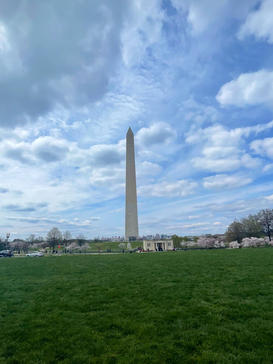 Cherry blossoms! #WMSDC23