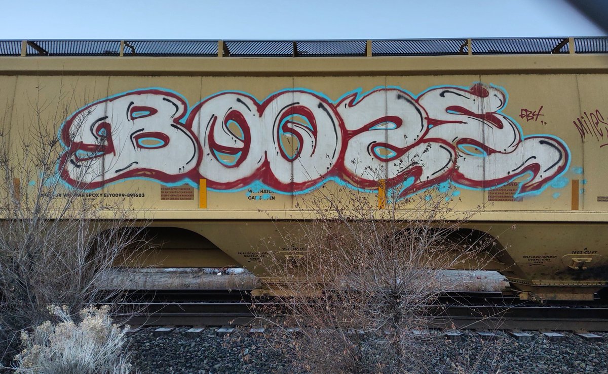 GraffitiExpress's tweet image. booze
#kamloops #train #graffiti #art 
#booze