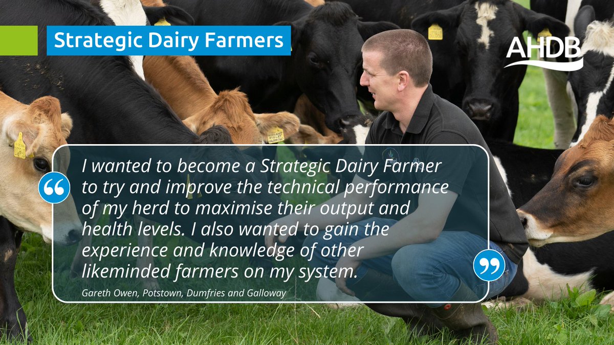 AHDB Dairy tweet media