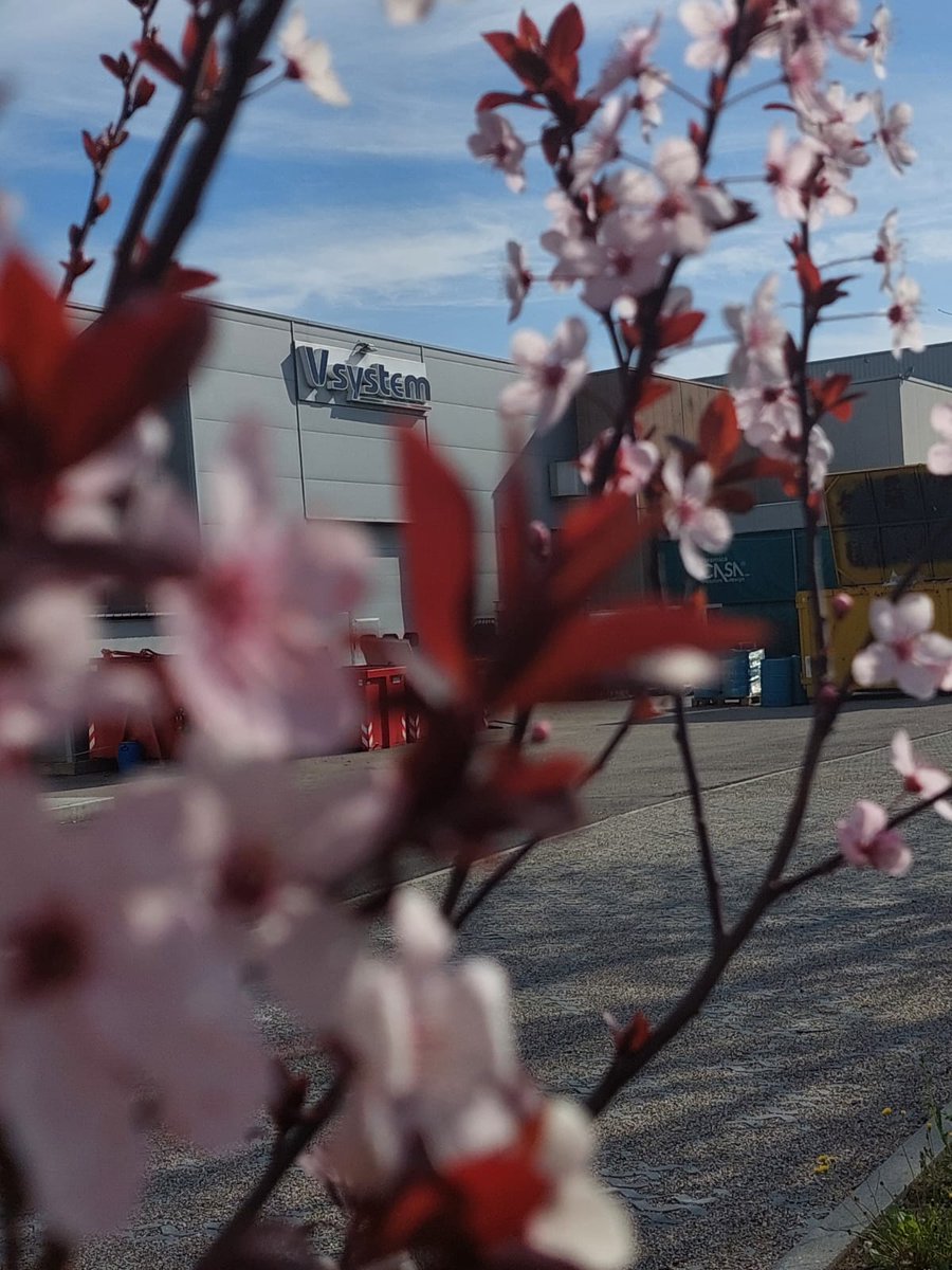 VsystemTech's tweet image. #Vsystem #springvibes 🌻🌻🌻🌻🌻🌻