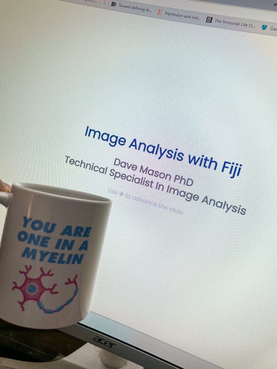 Learning #ImageJ from the best <a href="/dn_mason/">David Mason</a>!
Hands down the best tutorial 🔬

And, mymyelin cup accompanying me to make sure my 🧠 keeps working 😂 
#fiji #imageanalysis #imageJ #confocalimaging