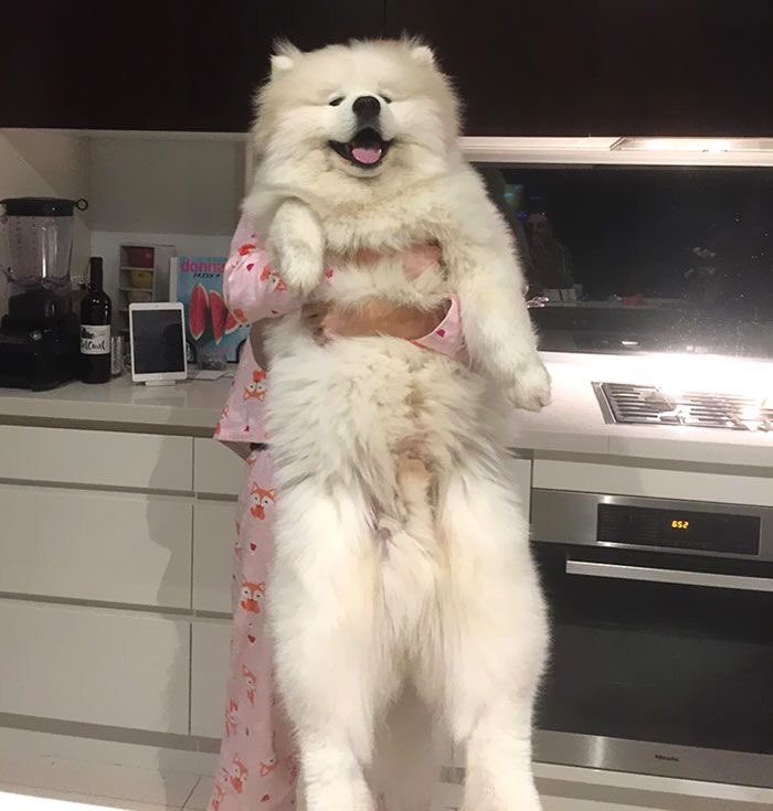 𝒟umb giRl 𐑥 bt she pretty ❀ tweet media