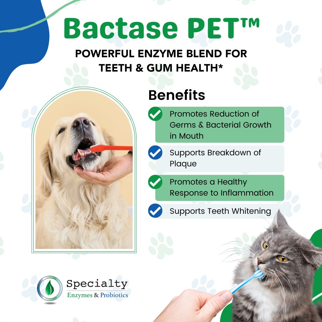 Specialty Enzymes & Probiotics (@sebenzymes) on Twitter photo Did you know by the age of 3, most dogs and cats have some degree of dental disease? According to <a href="/AAHAHealthyPet/">American Animal Hospital Association</a>. Bactase PETáľá´š promotes #oral #health in companion animals, including supporting #teeth whitening, plaque breakdown, and a slowdown in the speed of germ replication Did you know by the age of 3, most dogs and cats have some degree of dental disease? According to <a href="/AAHAHealthyPet/">American Animal Hospital Association</a>. Bactase PETáľá´š promotes #oral #health in companion animals, including supporting #teeth whitening, plaque breakdown, and a slowdown in the speed of germ replication