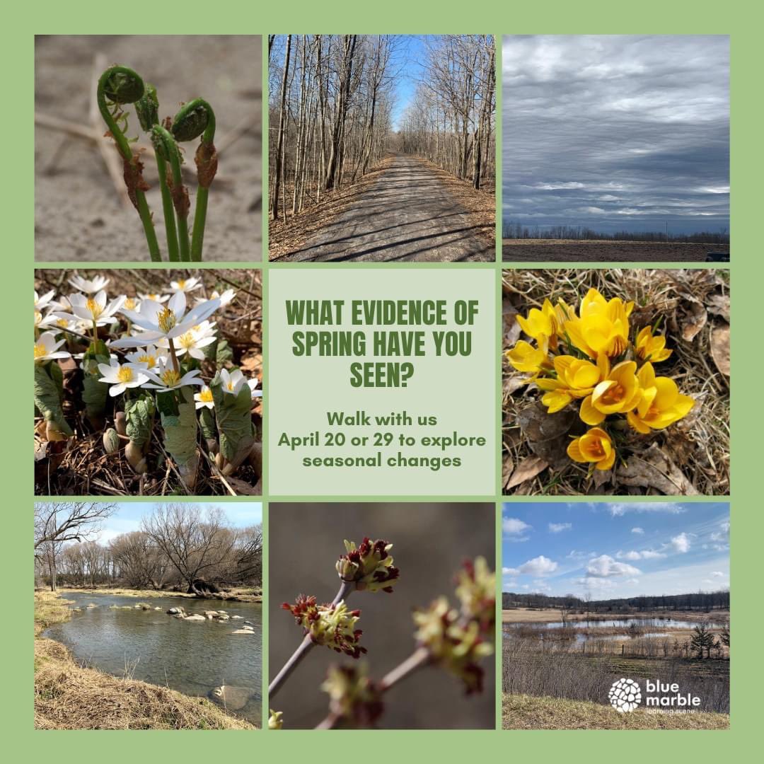 Join us for a guided walk around Kingston to learn more about nature! only $2!

Register here: bluemarblelearningscene.ca/blue-marble-st…
<a href="/VisitKingstonCA/">Visit Kingston</a> 
#guidedwalk #thingstodoinkingston #visitkingston