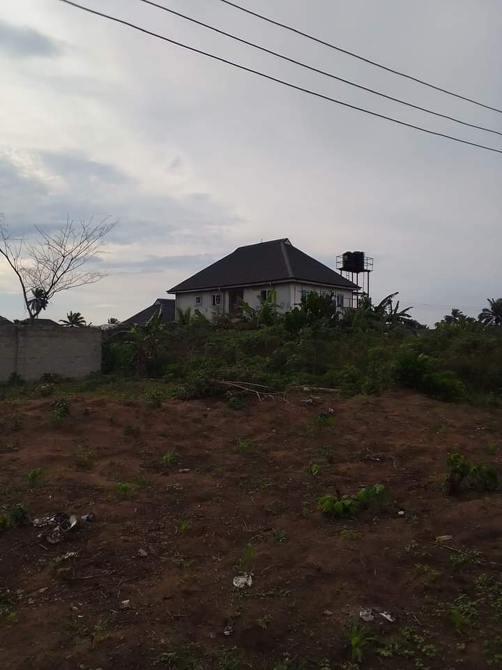 degold5555's tweet photo. 💥💥💥💥FOR SALE:
Distress Sale of a plot of #LAND measuring 50 by 100, it's a table and dry land with 33kv electricity supply and very good security. 
Title:DOC
Price: #3.5m as against #5m
Location:Stream View Estate Atali Farm Estate

Contact De-Gold Properties 09025102282 https://t.co/rW9zfD3N9W