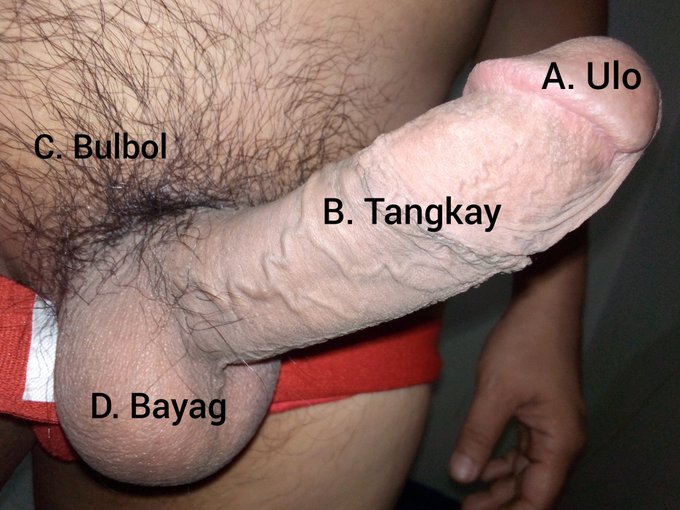 Alin ang unang aamuyin bago chupain ang top??? https://t.co/QhHtHNyewd