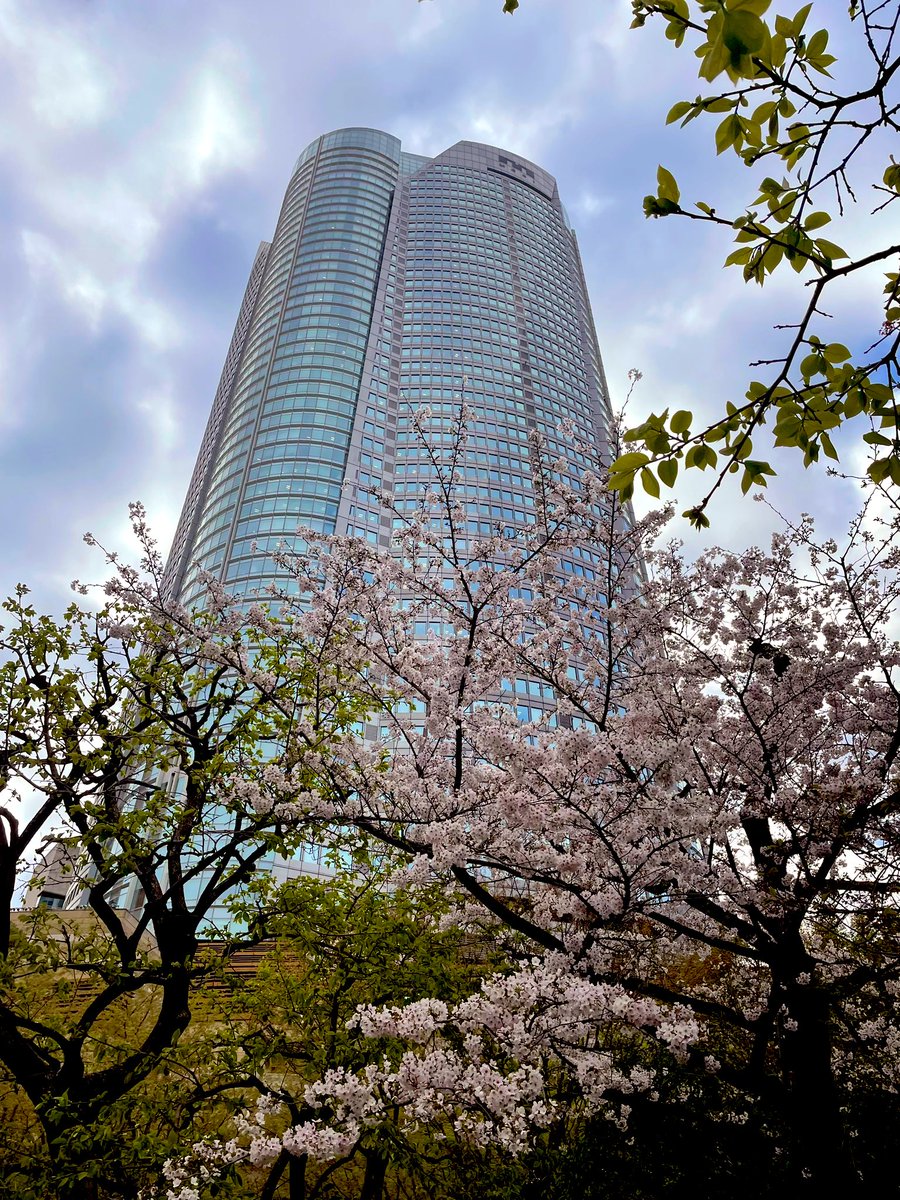 fachwerk_19's tweet photo. Google認定トレーナーMeet up✨オフライン参加で新しい情報にダイレクトに触れる時間、モチベーション上がります！
#GoogleWorkspace https://t.co/M1raBPMMJb