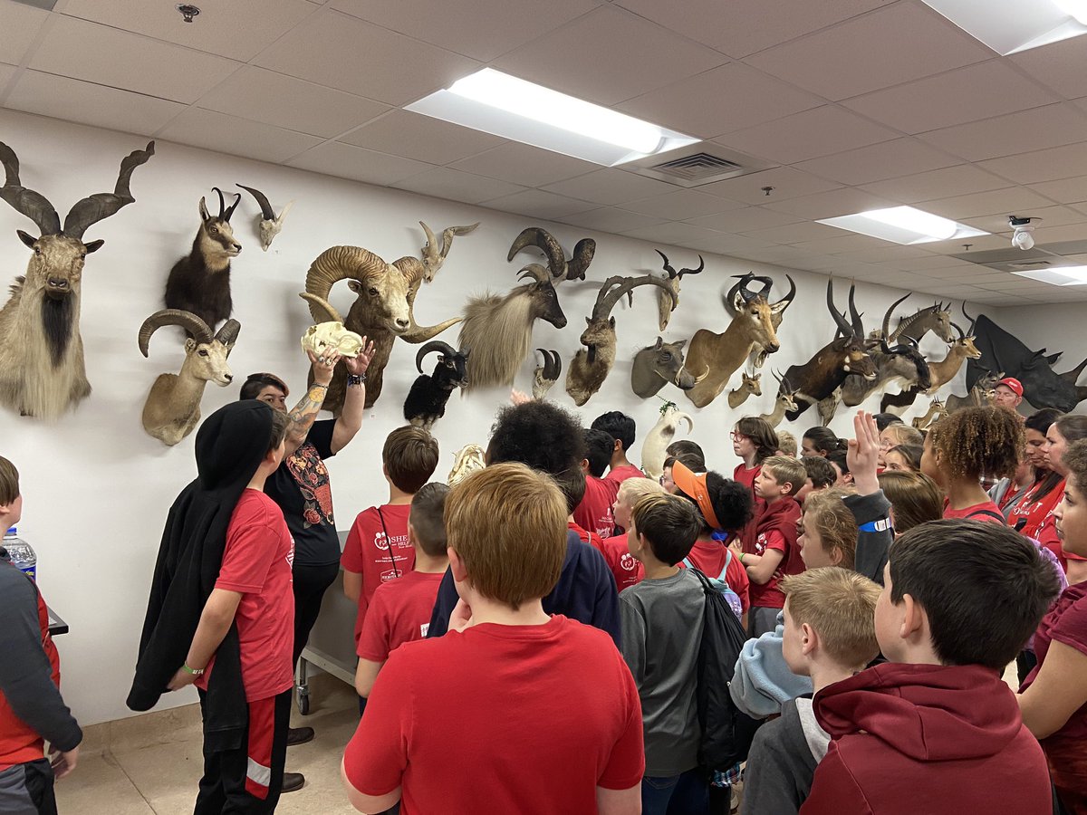 FrancesMeetze's tweet photo. Enjoyed chaperoning @gilbert_elem 5th grade trip today! Wore our Gamecock gear into enemy territory and did a cool DNA lab! #gococks https://t.co/rlAbZy3zD0
