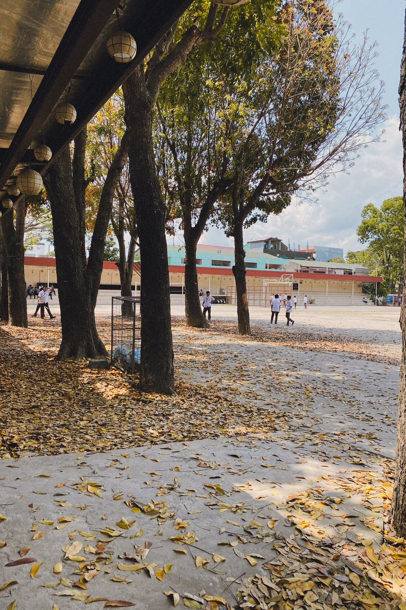 A619208L's tweet photo. Fall season sa USL 🍂 (eme) https://t.co/g9RsHfrVRd