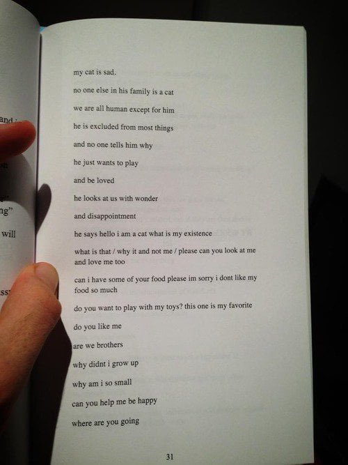 Belle 🌹 tweet media