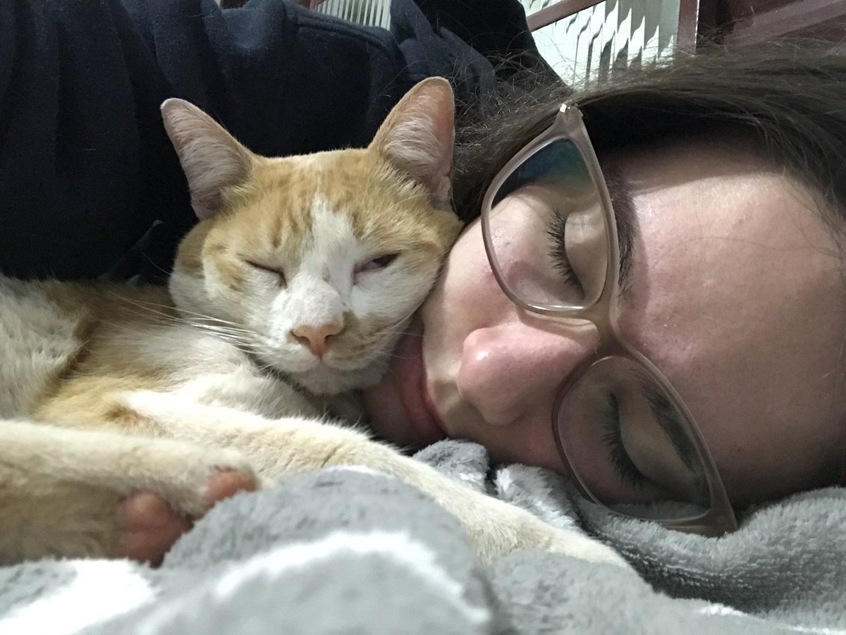 pizaiaa's tweet photo. CLASSIFIQUE O SEU PET

raça: gato de rua 

nome: paçoca 

beleza: a maior  

inteligência: 8/10

raiva: zero 

gosta de passear: ama, já sabe até abrir a porta para ir no hall e já fugiu dias para ficar na gandaia 

apelido: garfield e pequeno https://t.co/qcN0Obmlpd