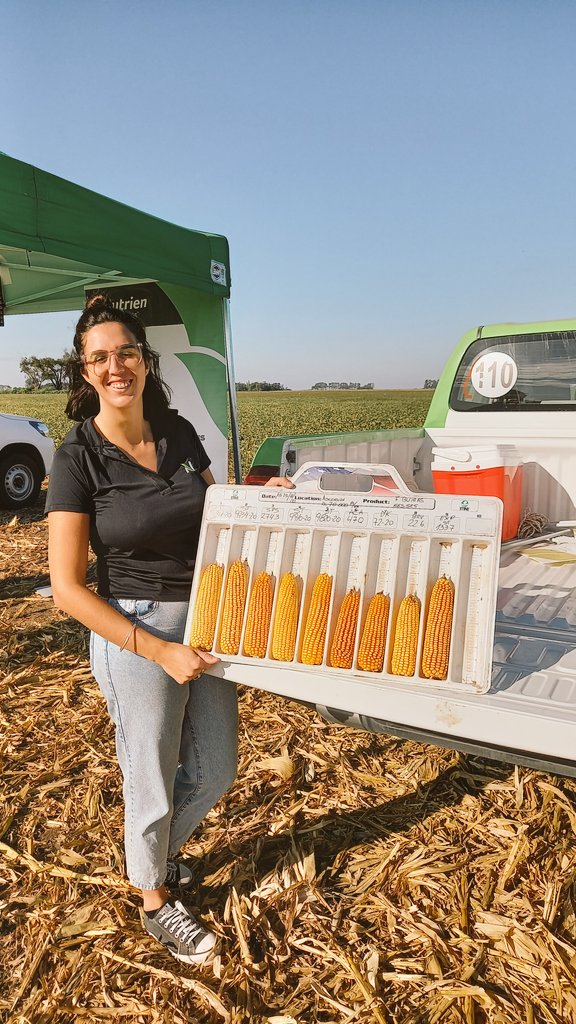 PabloRRicart's tweet photo. ECR de 🌽 con Distinta MR 110 a 125 días, diferentes 🧬 y eventos...
📌 Ascension [BA]
Y soja 1 ra con manejo de Densidad por ambientes AP, MP y BP.
👇👨‍🌾🇦🇷 https://t.co/yniGola6gy
