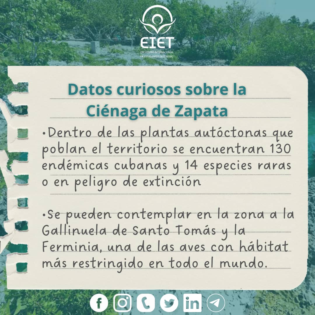 eietcuba's tweet photo. ¿Quieres conocer más sobre la Ciénaga de Zapata? 😎🌴

Por aquí te dejamos algunos detalles 📌👀

Sigue nuestras redes🌐🖇️
https://t.co/XicwnoezVg

#EIET2023 #EIETCuba #EstudiantesDeTurismo #SomosFTUR #SomosUH
#15aniversario #FTUReduca #FTURcumple15 https://t.co/lUQ1IT9F5H