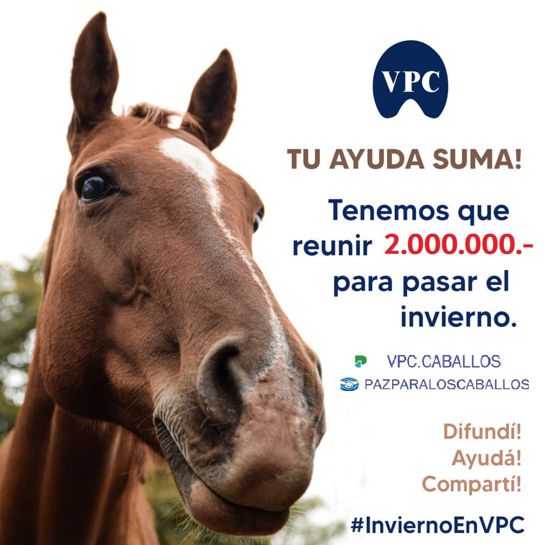 VPC🐎Voluntarios Por Los Caballos tweet media